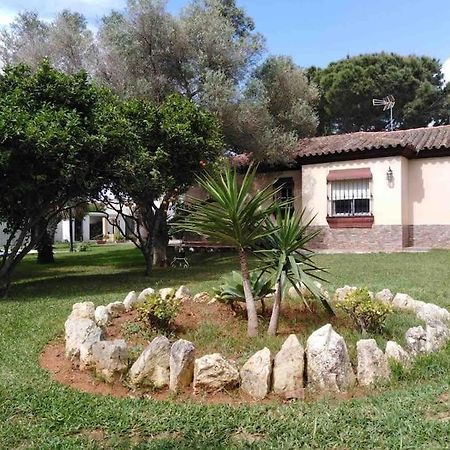 Chalet En La Barrosa, Piscina+Bbq+Grifo De Cerveza Chiclana de la Frontera Luaran gambar